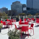 [テラス席あり]SAKURA SAKAE ENTERTAINMENT RESTAURANT
