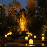 アトレ恵比寿「GARDEN WHITE」ルーフトップビアガーデン開催 - 4/24から